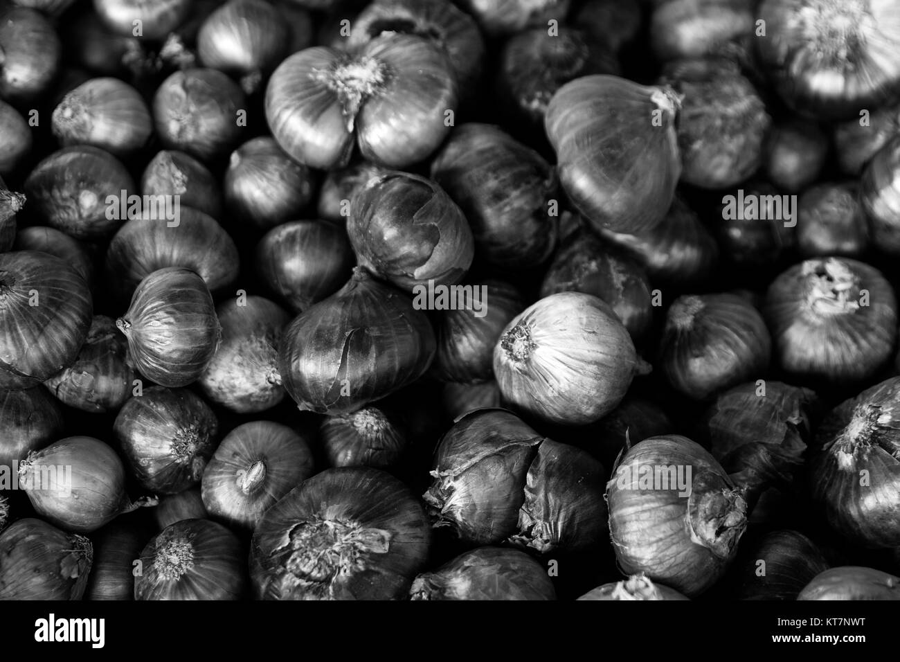 Molti viola le cipolle vegetali di radice naturale greggio bianco nero Foto Stock