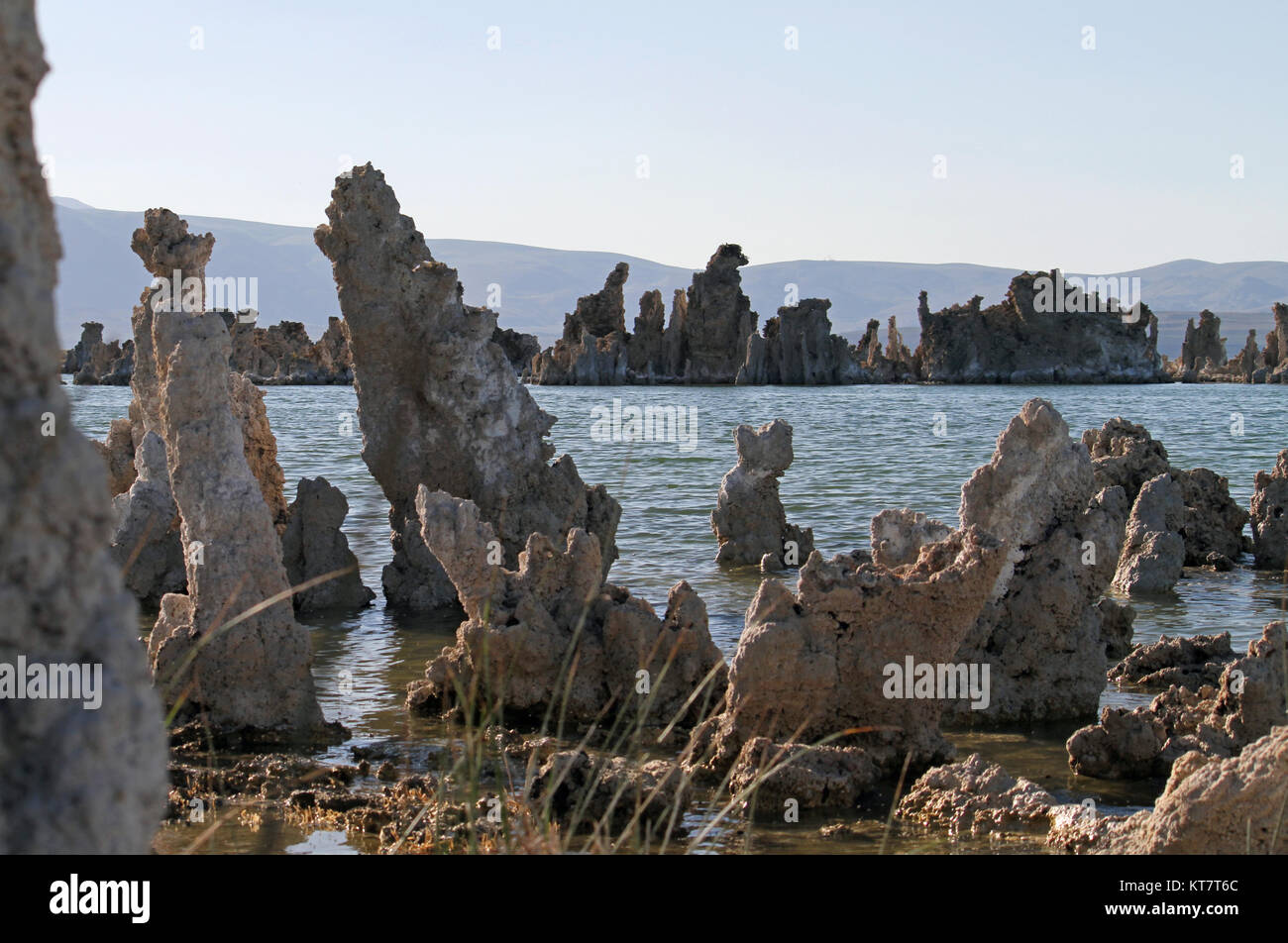 Formazioni surreale al Lago Mono, California Foto Stock