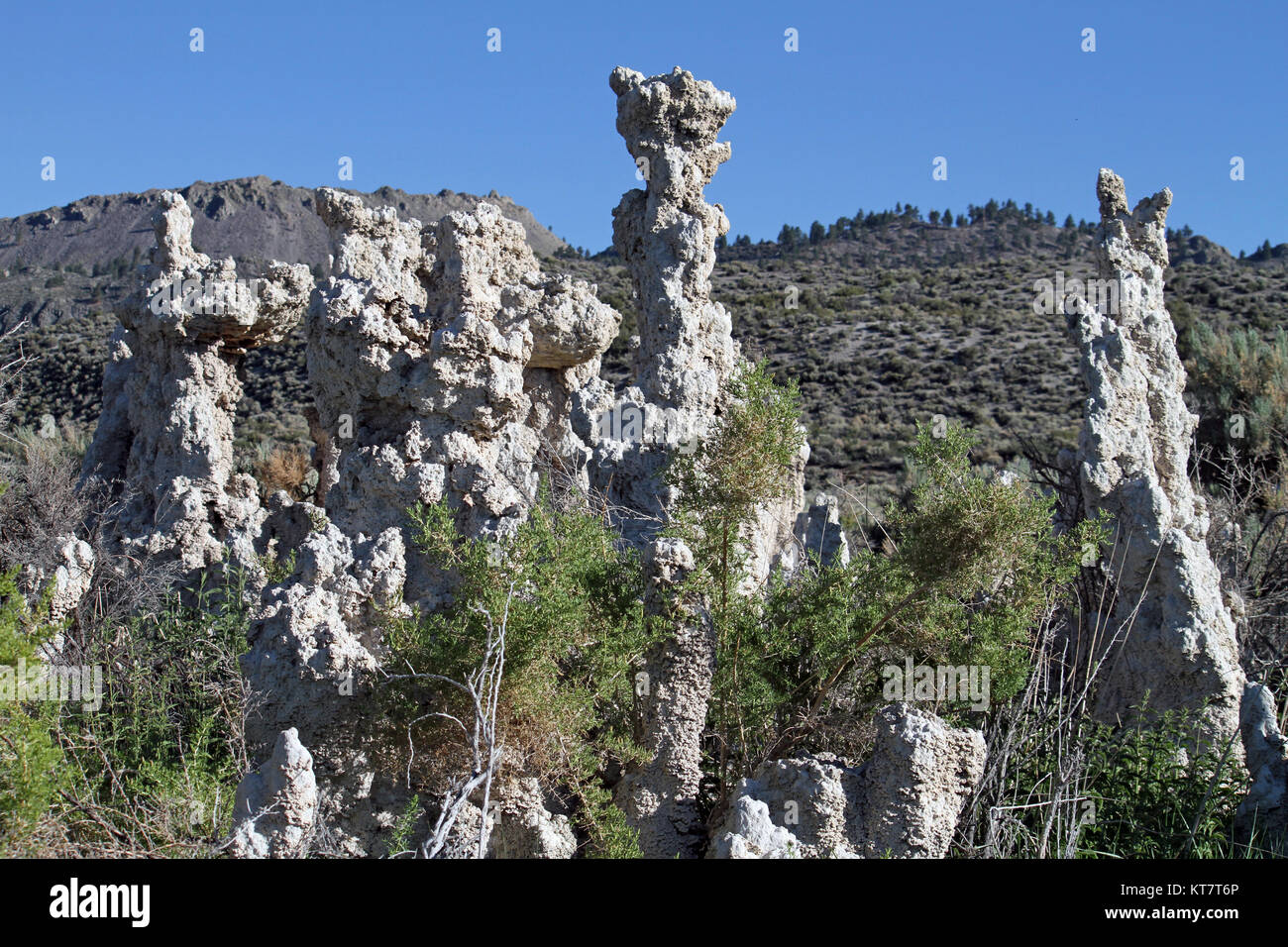 Formazioni surreale al Lago Mono, California Foto Stock