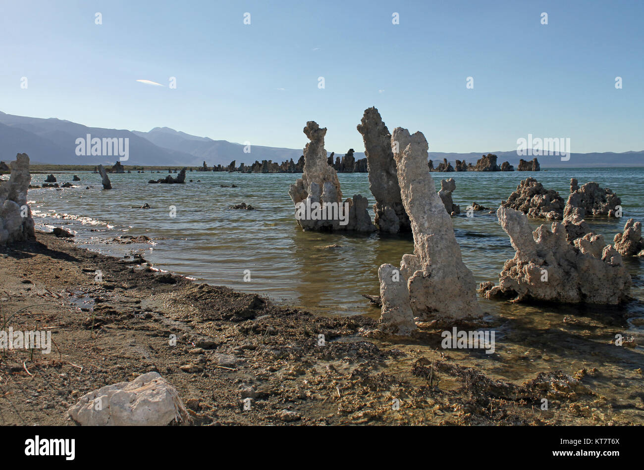 Formazioni surreale al Lago Mono, California Foto Stock
