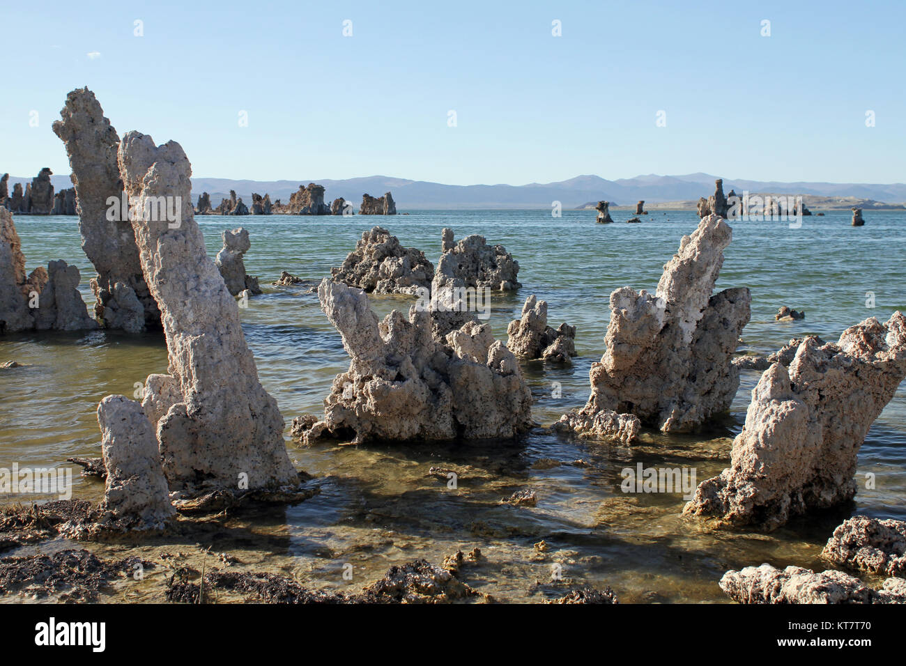 Formazioni surreale al Lago Mono, California Foto Stock