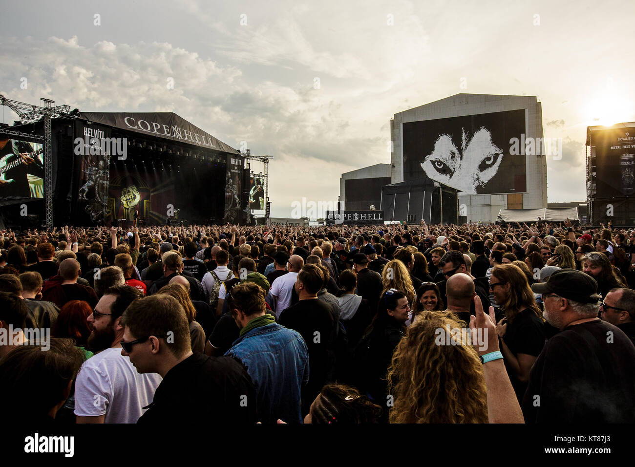 Migliaia di frequentatori del festival da metalli pesanti e per gli amanti della musica si riuniscono ogni anno per l'annuale hard rock e musica heavy metal festival Copenhell in Copenhagen. Danimarca 22/06 2017. Foto Stock