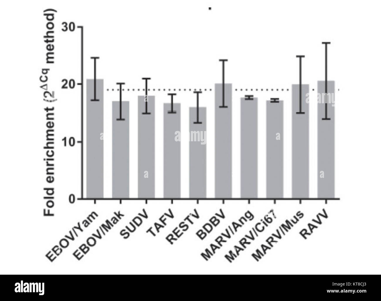 Nanotrap® particelle di cattura ampiamente Ebola, Marburg, e altri filovirus aumentando così saggio diagnostico sensibilità. Foto Stock