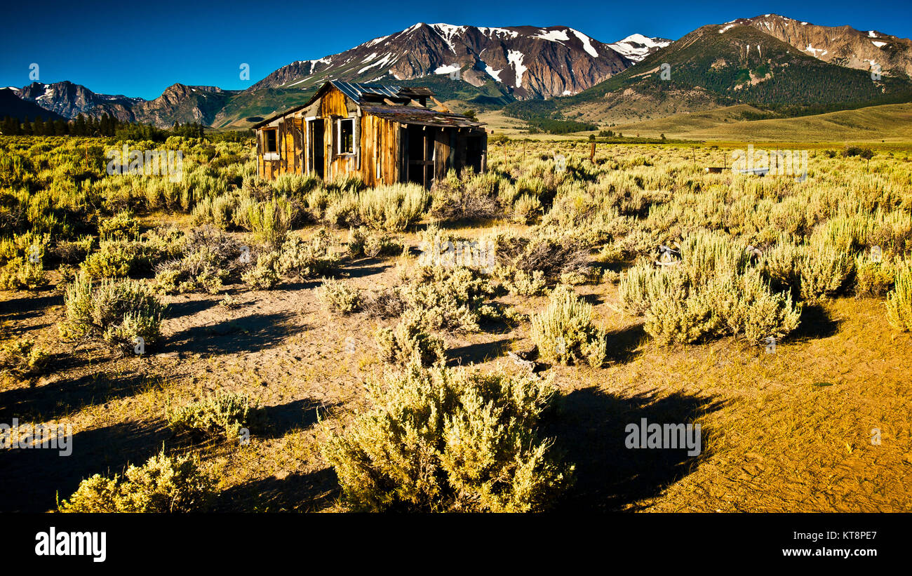 immagine di casa abbandonata situata sulla natura selvaggia alta sierra deserto, alta sierra innevata montagne sullo sfondo, cielo blu chiaro, Foto Stock