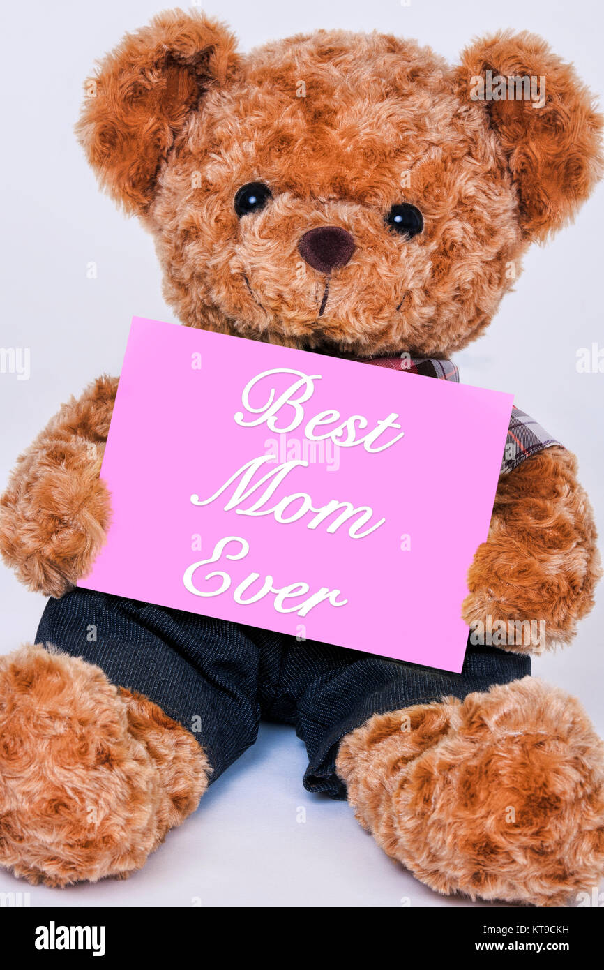 Simpatico orsacchiotto tenendo un segno rosa che legge migliori Mamma mai isolato su uno sfondo bianco Foto Stock