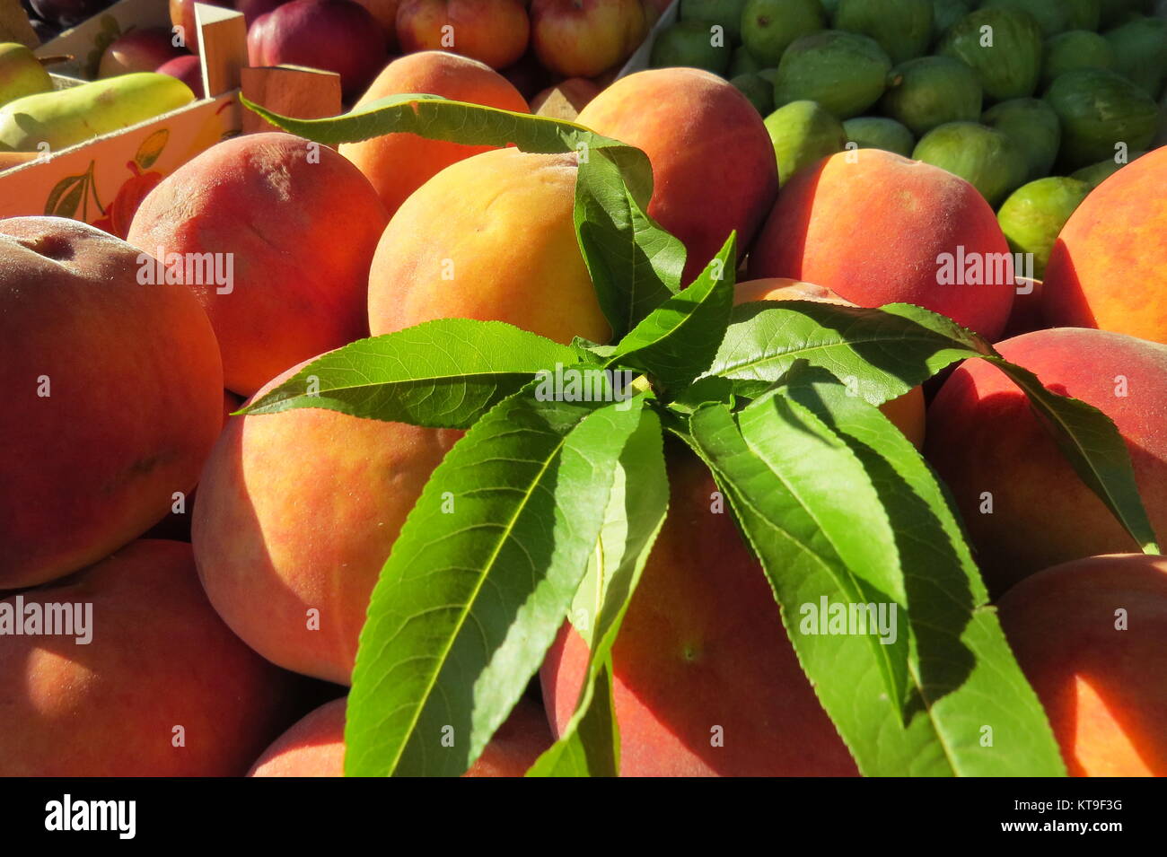 Grande fresco pesche al mercato alimentare Foto Stock