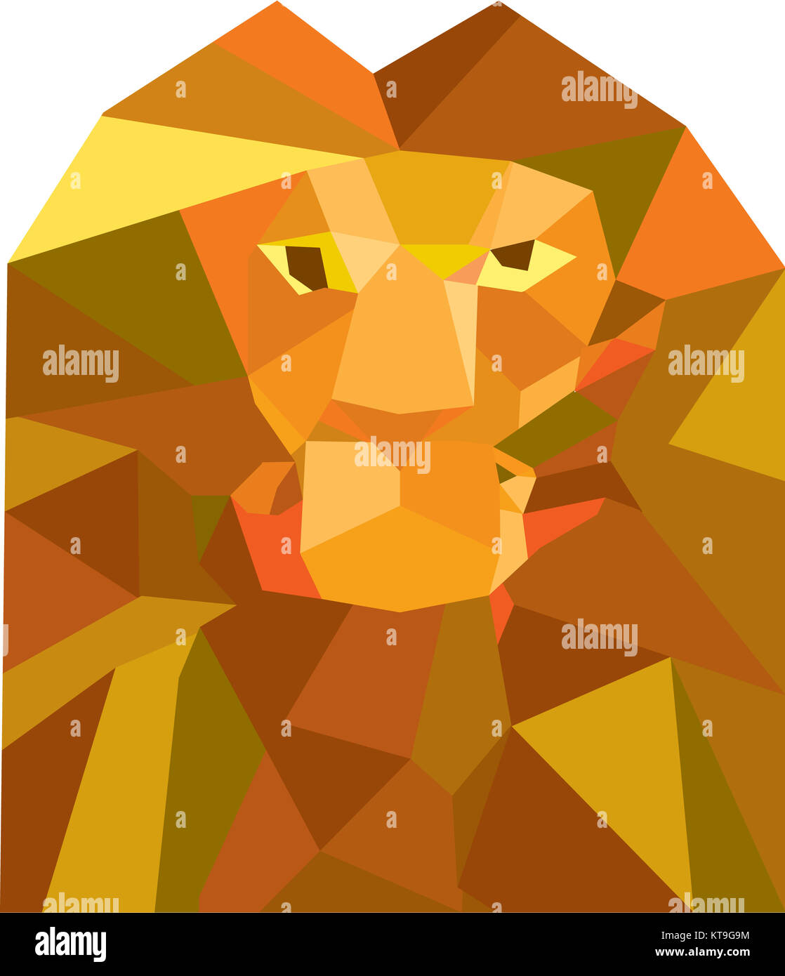 Testa leone anteriore poligono bassa Foto Stock