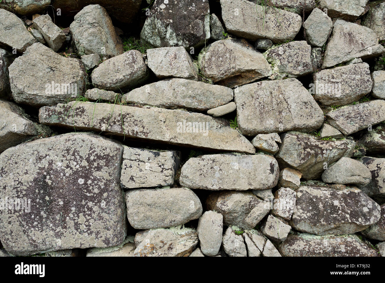 Stone parete di roccia Foto Stock