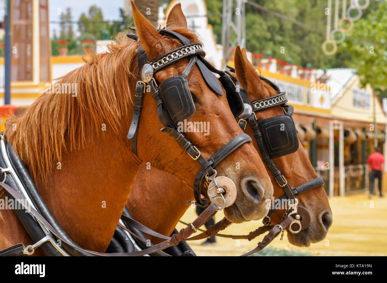 Cavalli addobbato in fiera Foto Stock