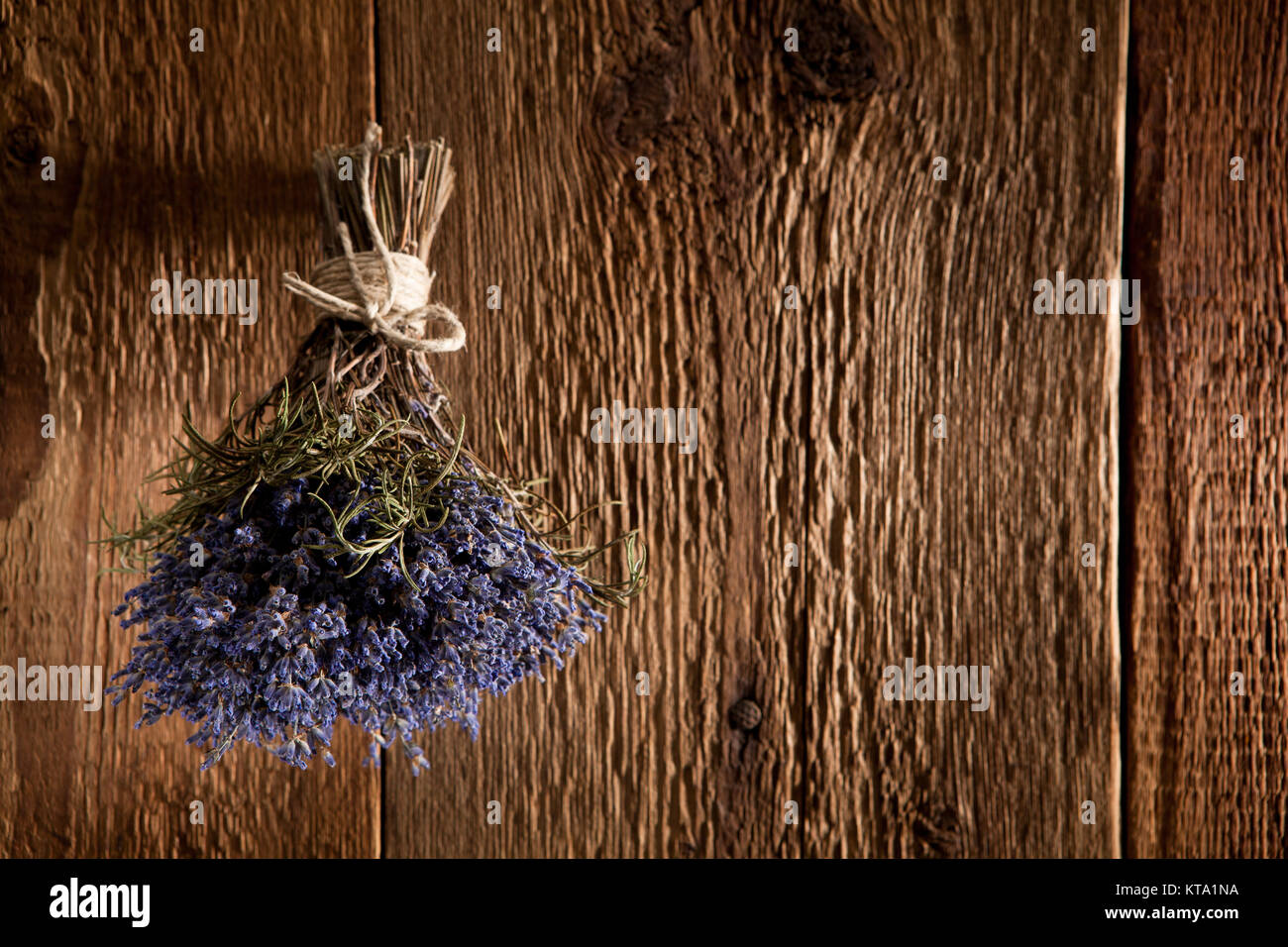 Ein Strauß Lavendel hängt zum Trocknen auf einer rustikalen Holzwand Foto Stock