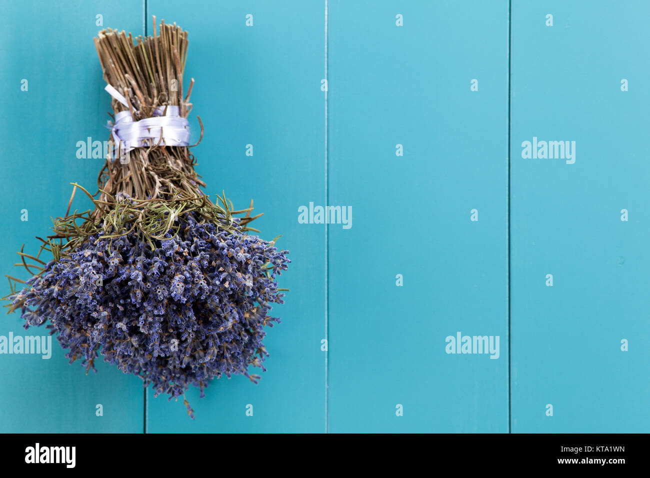 Ein Bündel Lavendel hängt zum Trocknen auf einer mediterranbllauen Holzwand Foto Stock