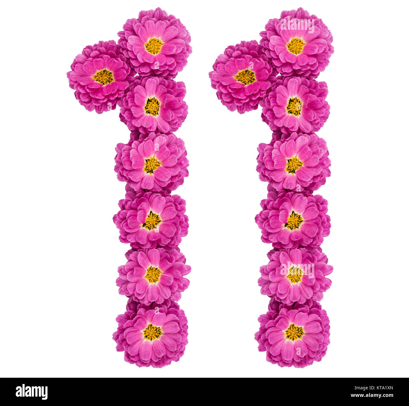 Numero arabo 11, undici, dai fiori di crisantemo, isolato su sfondo bianco Foto Stock