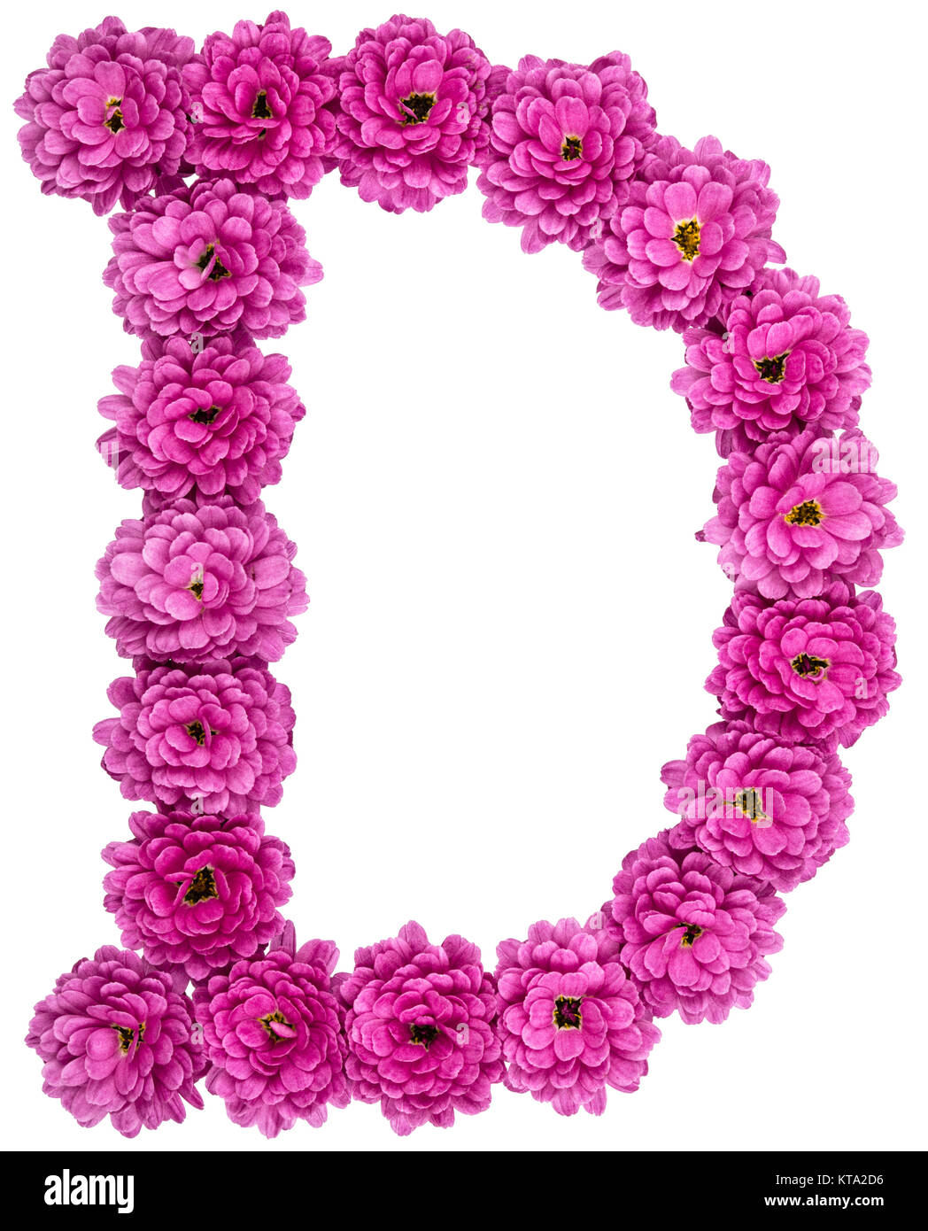 Lettera d'alfabeto, dai fiori di crisantemo, isolato su sfondo bianco Foto Stock