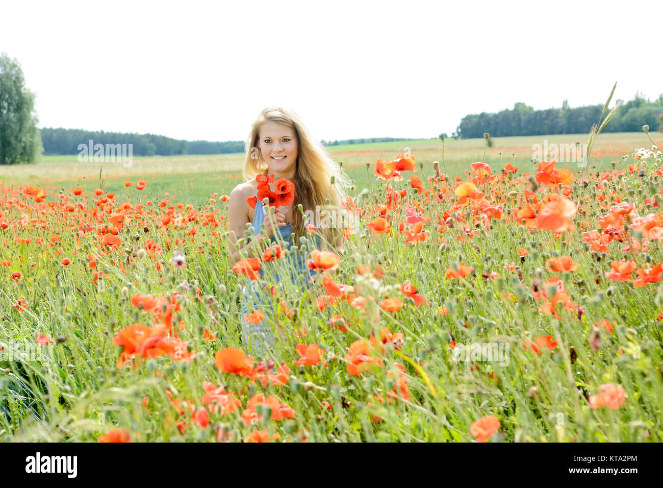 La donna nel campo di papavero Foto Stock