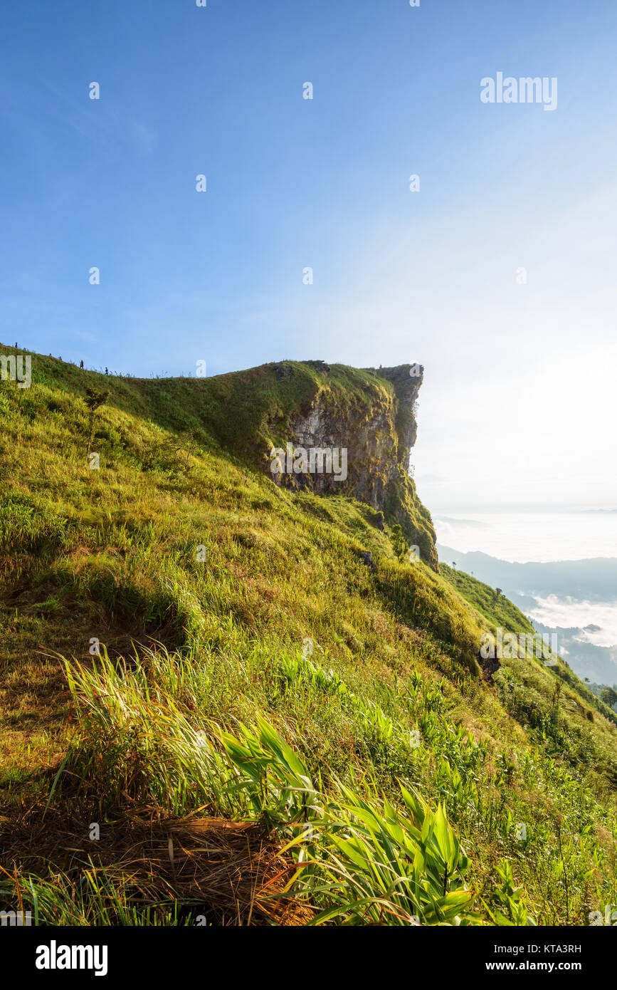 Mattina in Phu Chi fa Forest Park, Thailandia Foto Stock