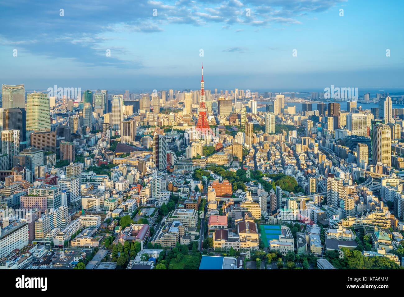 Vista aerea della città di Tokyo, Giappone Foto Stock