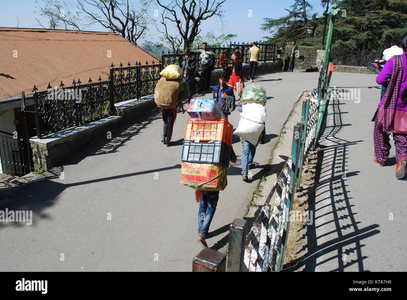 Le persone che lavorano in Shimla. Due uomini che trasportano carichi pesanti sulle loro spalle attraverso le strade di Shimla. Foto Stock