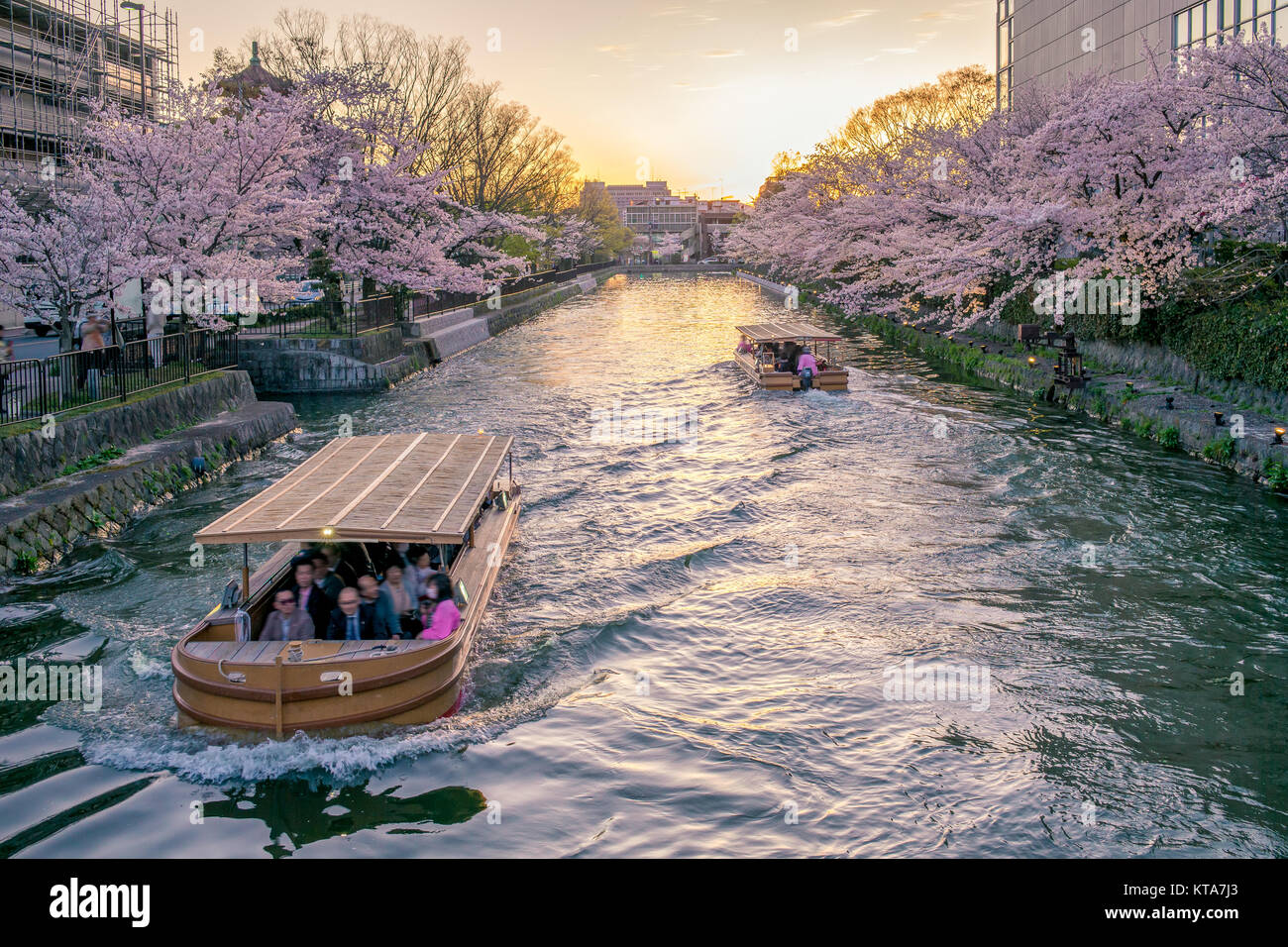 Vista notturna di Okazaki Canal con fiore di ciliegio Foto Stock