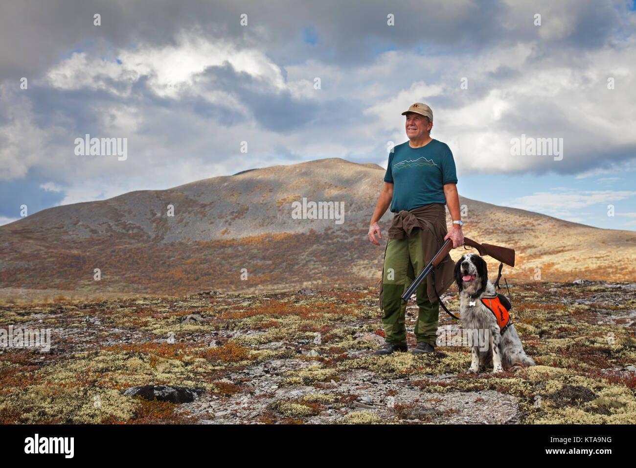 Norwegian cacciatore con fucile da caccia e Setter inglese cane caccia  fagiano di monte sulla tundra in autunno, Norvegia Foto stock - Alamy