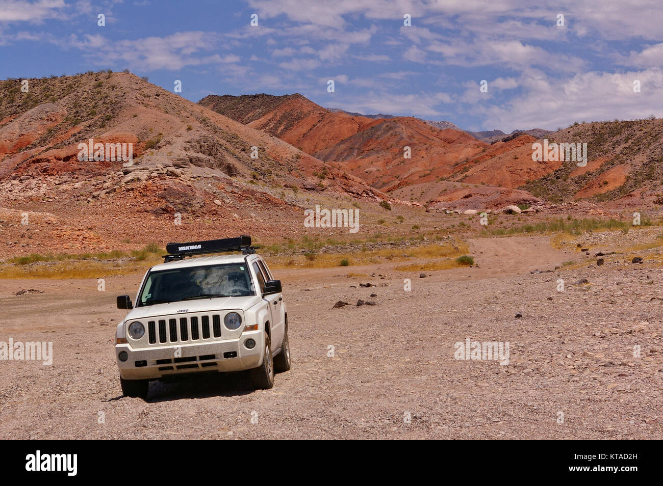 La Contea di Mohave, Arizona, Stati Uniti d'America - Giugno 26th, 2009 - SUV bianco sul telecomando desert trail Foto Stock
