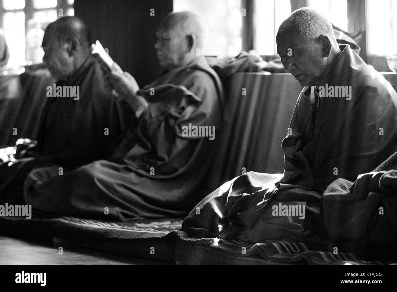 I monaci buddisti seduto alla finestra e pregando sul giorno del festival, Diskit Monastero, Valle di Nubra, Ladakh, Jammu e Kashmir in India. In bianco e nero Foto Stock