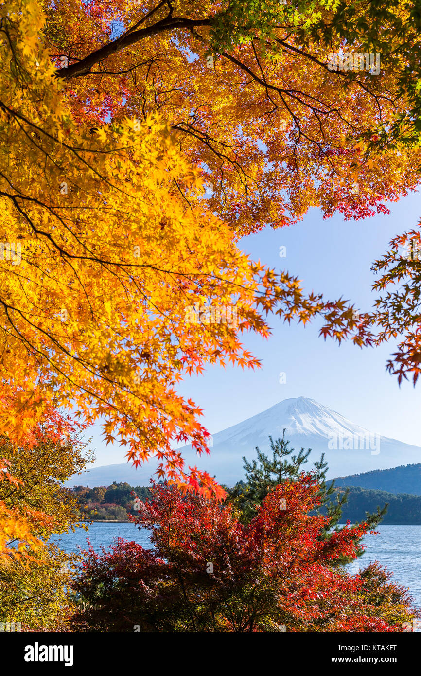 Monte Fuji nella stagione autunnale Foto Stock