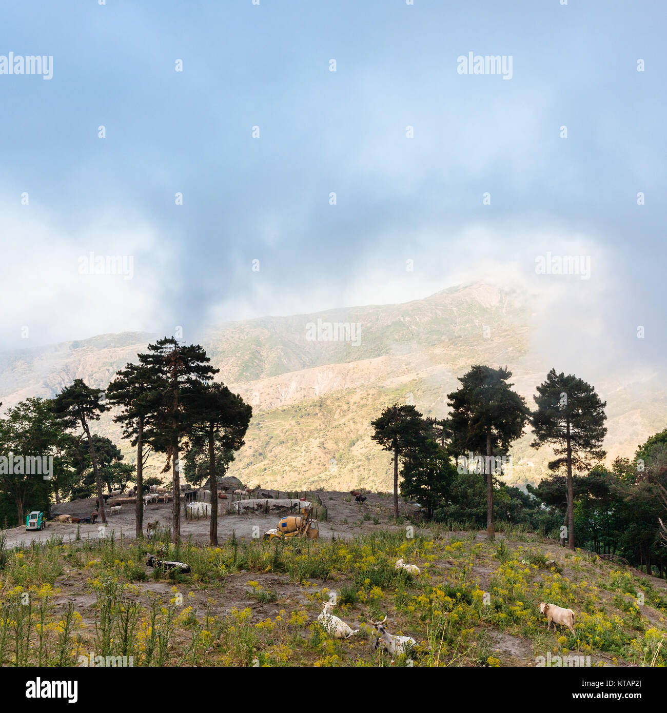 Pascoli di montagna sui Monti Nebrodi in Sicilia Foto Stock