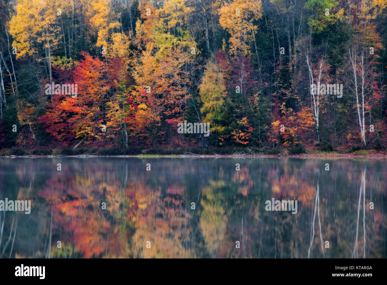 I colori autunnali della Hiawatha National Forest riflettere nella Penisola Superiore del Michigan. Mocassino Lago. Foto Stock