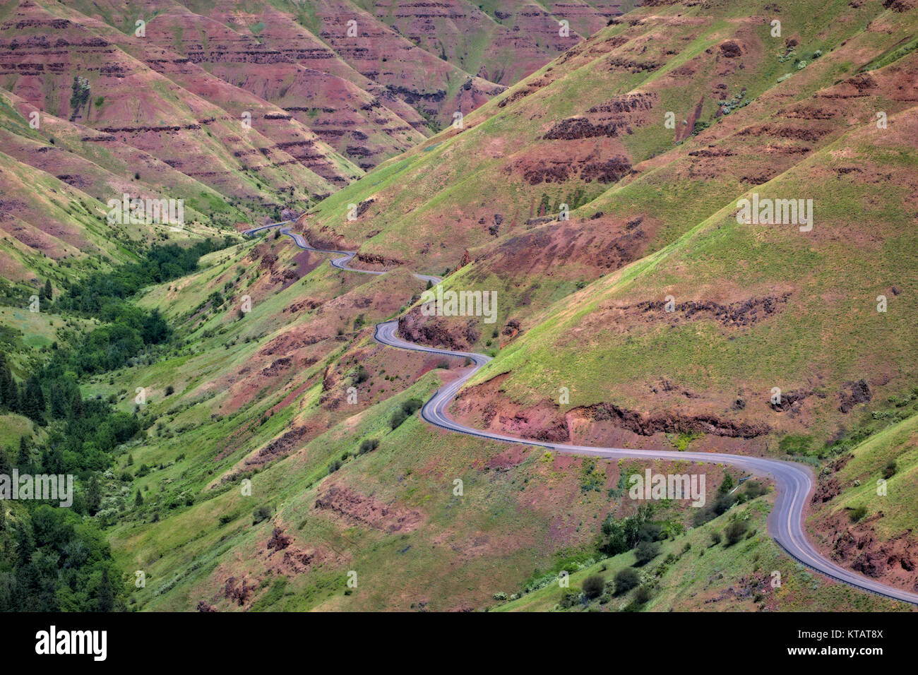 NE Oregon's Highway 3 scende a titolo di Rattlesnake grado nel Grand Ronde River Canyon in Wallowa County. Foto Stock