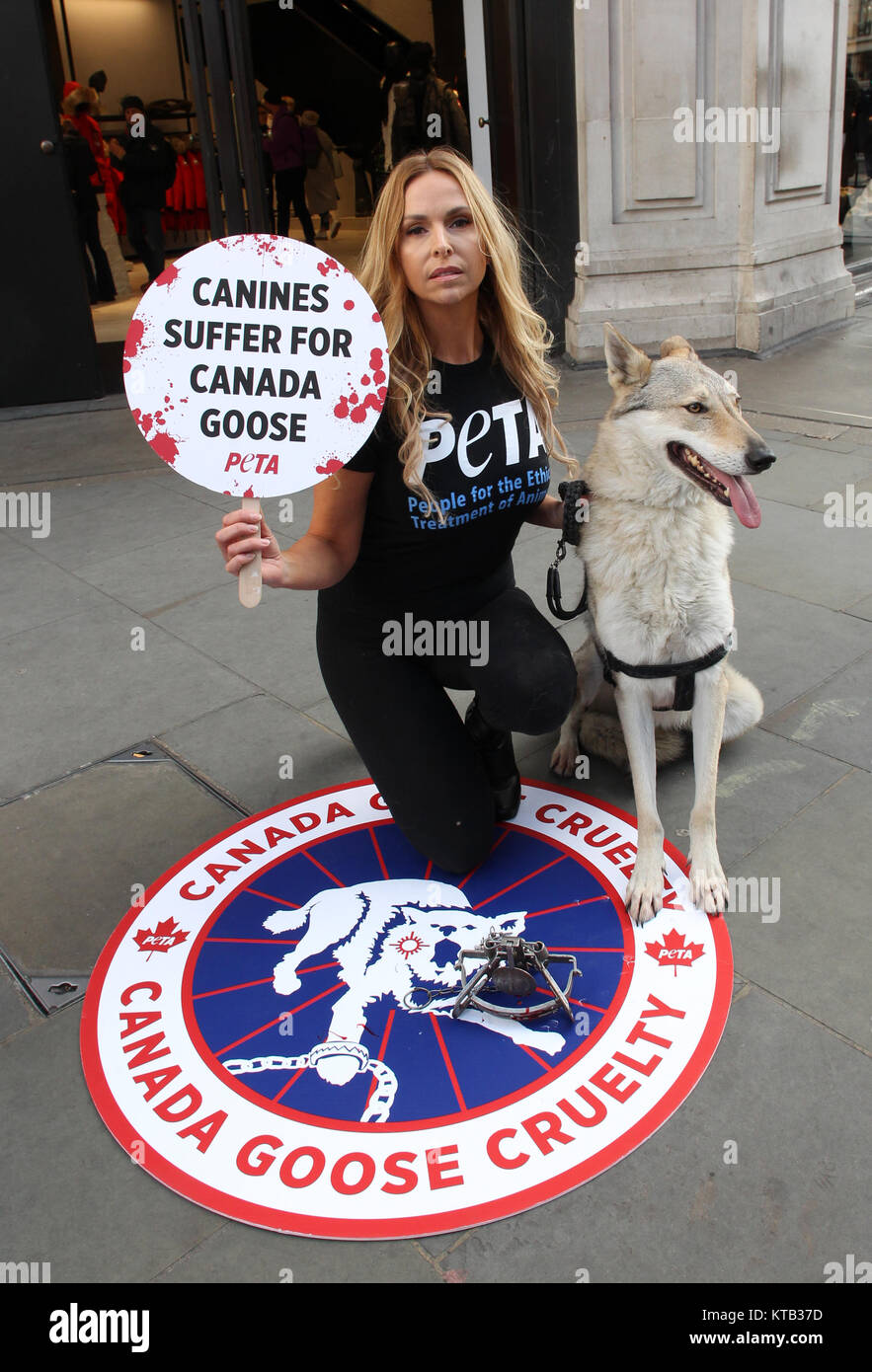 Londra, Regno Unito. 8 dicembre, 2017. Anneka Svenska e il suo compagno canino protesta al di fuori del Canada Goose flagship store in Regent Street per la PETA ha Campai Foto Stock