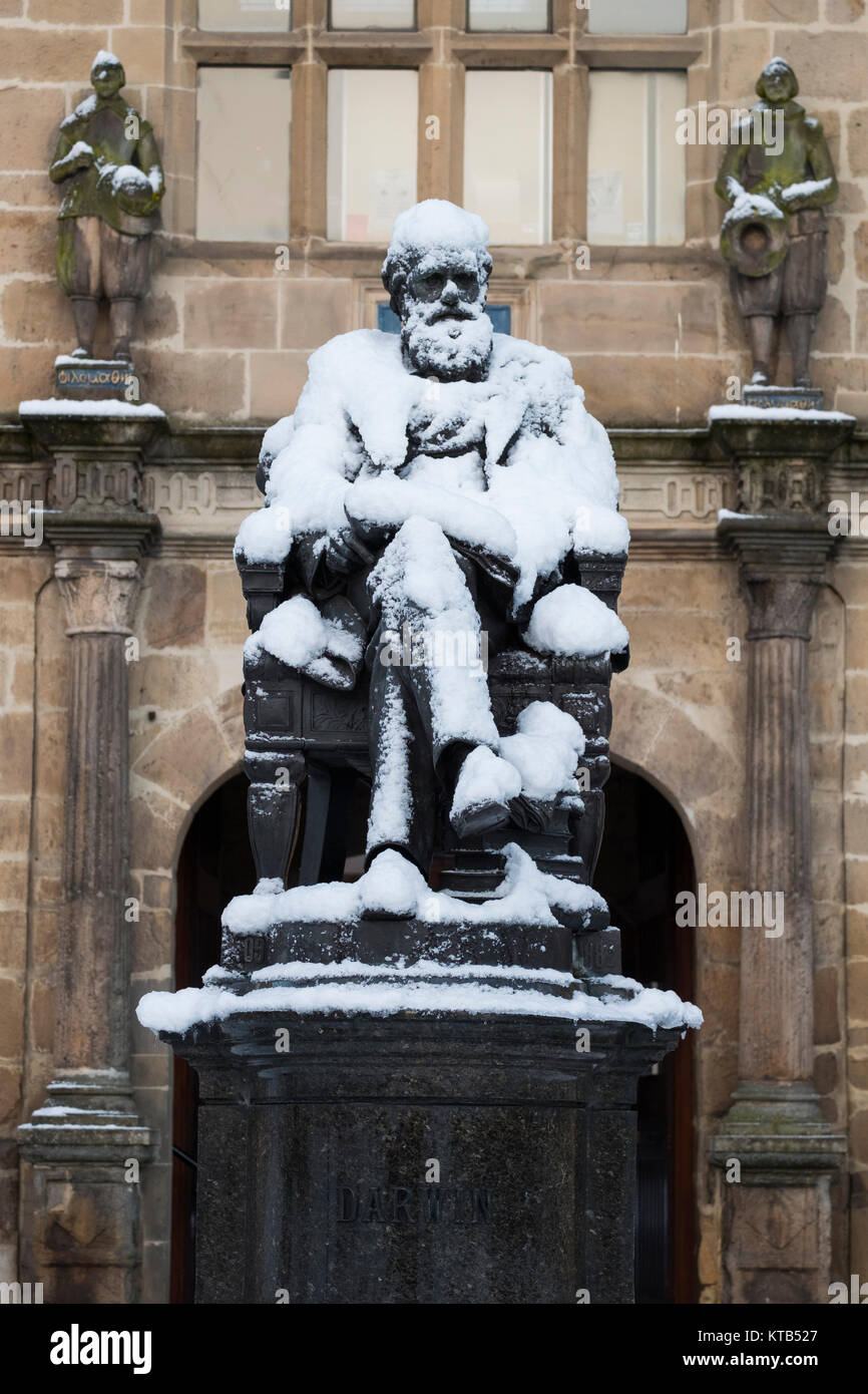 La neve copre il Charles Darwin statua al di fuori della libreria di Shrewsbury, Shropshire, Inghilterra, Regno Unito Foto Stock