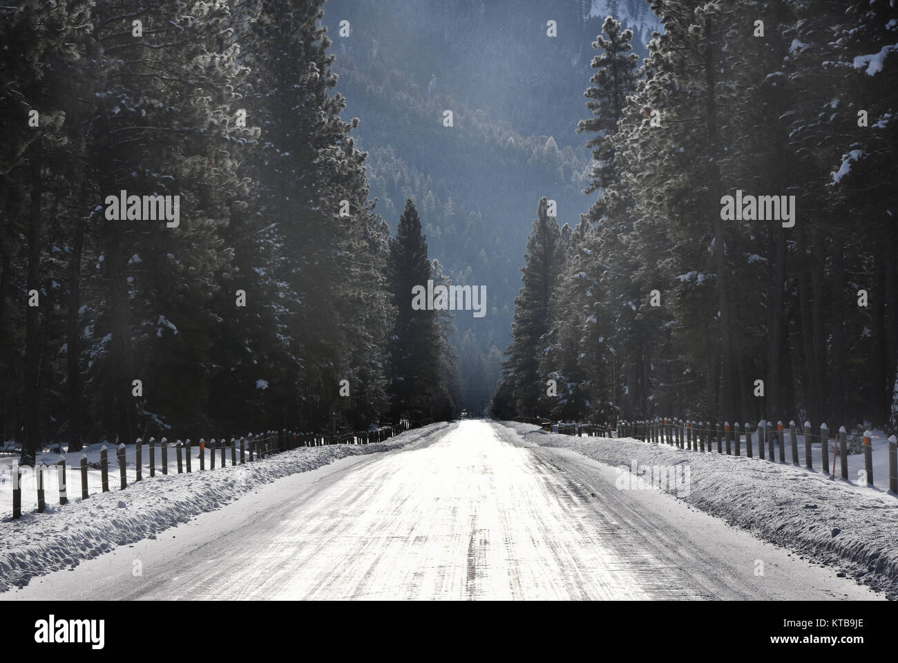 Strada ghiacciata al Paradiso - Rock Creek Road, Montana Foto Stock