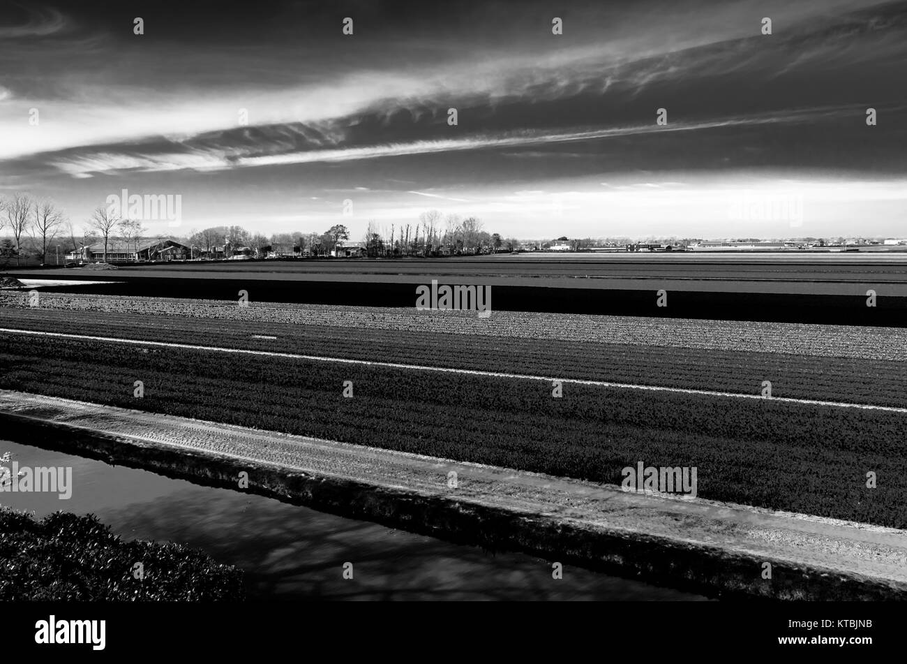 Bianco e nero campo Foto Stock