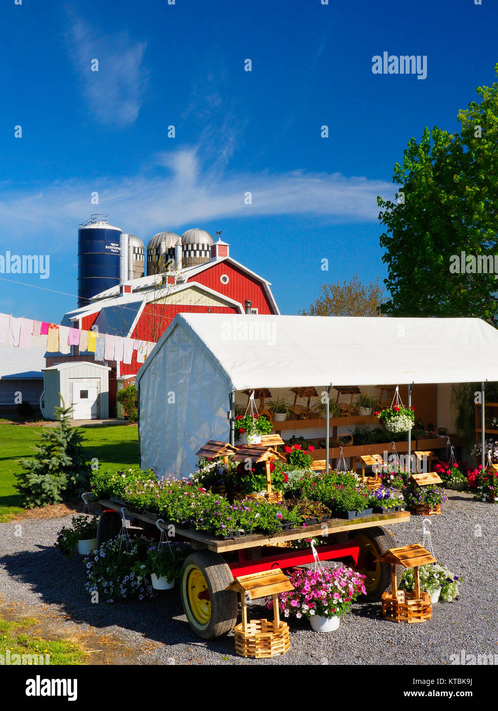 Locust Grove produrre Stand, Benton, Finger Lakes, New York, Stati Uniti d'America Foto Stock