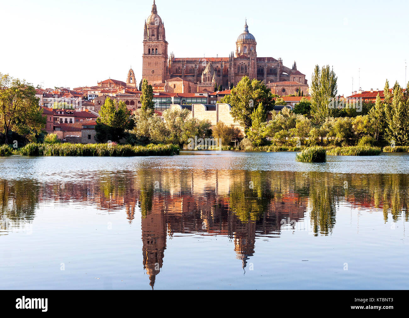 Catedral de Salamanca. Ciudad patrimonio de la humanidad. Castilla León. España Foto Stock
