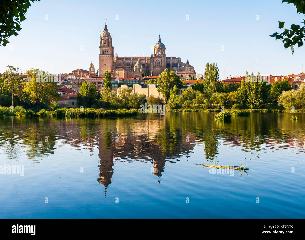 Catedral de Salamanca. Ciudad patrimonio de la humanidad. Castilla León. España Foto Stock
