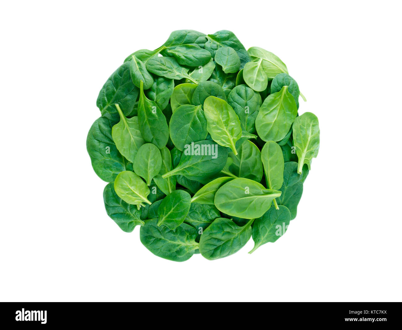 Round mucchio di verde di foglie di spinaci vista dall'alto isolato su bianco Foto Stock