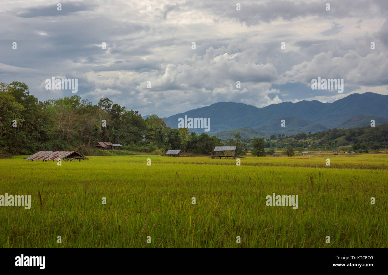 Alba sul punto di vista di Pai in Thailandia. Foto Stock