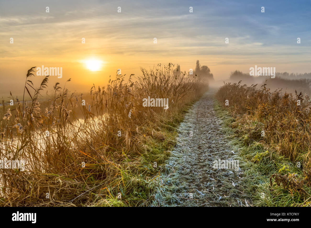 Via a piedi attraverso il pettine sul foschia mattutina durante il sunrise Foto Stock