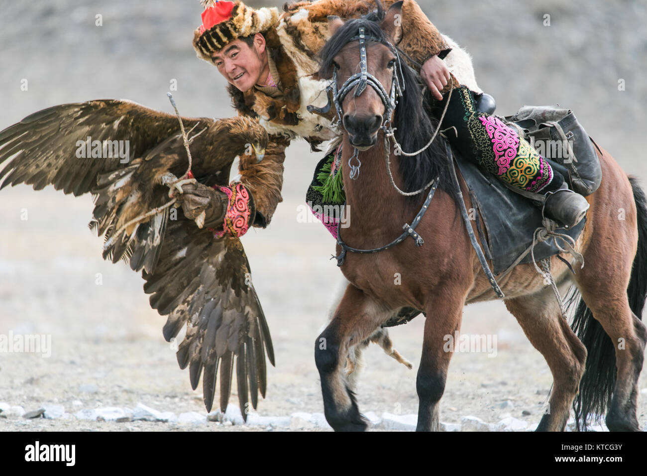Il kazako eagle hunter a cavallo durante la Golden Eagle Festival in Mongolia Foto Stock