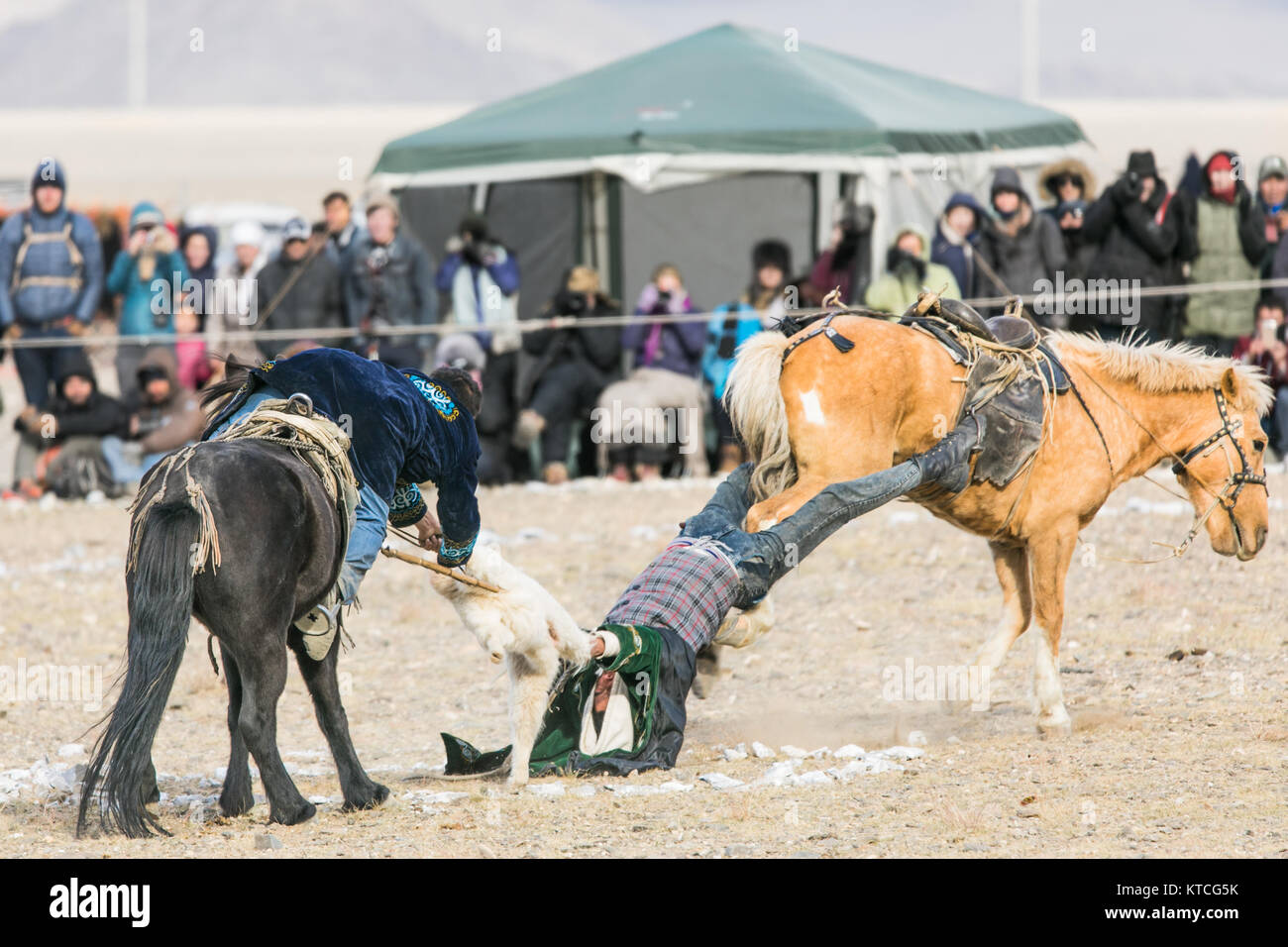 Un round del buzkashi (capra polo) presso il Golden Eagle Festival in Mongolia Foto Stock