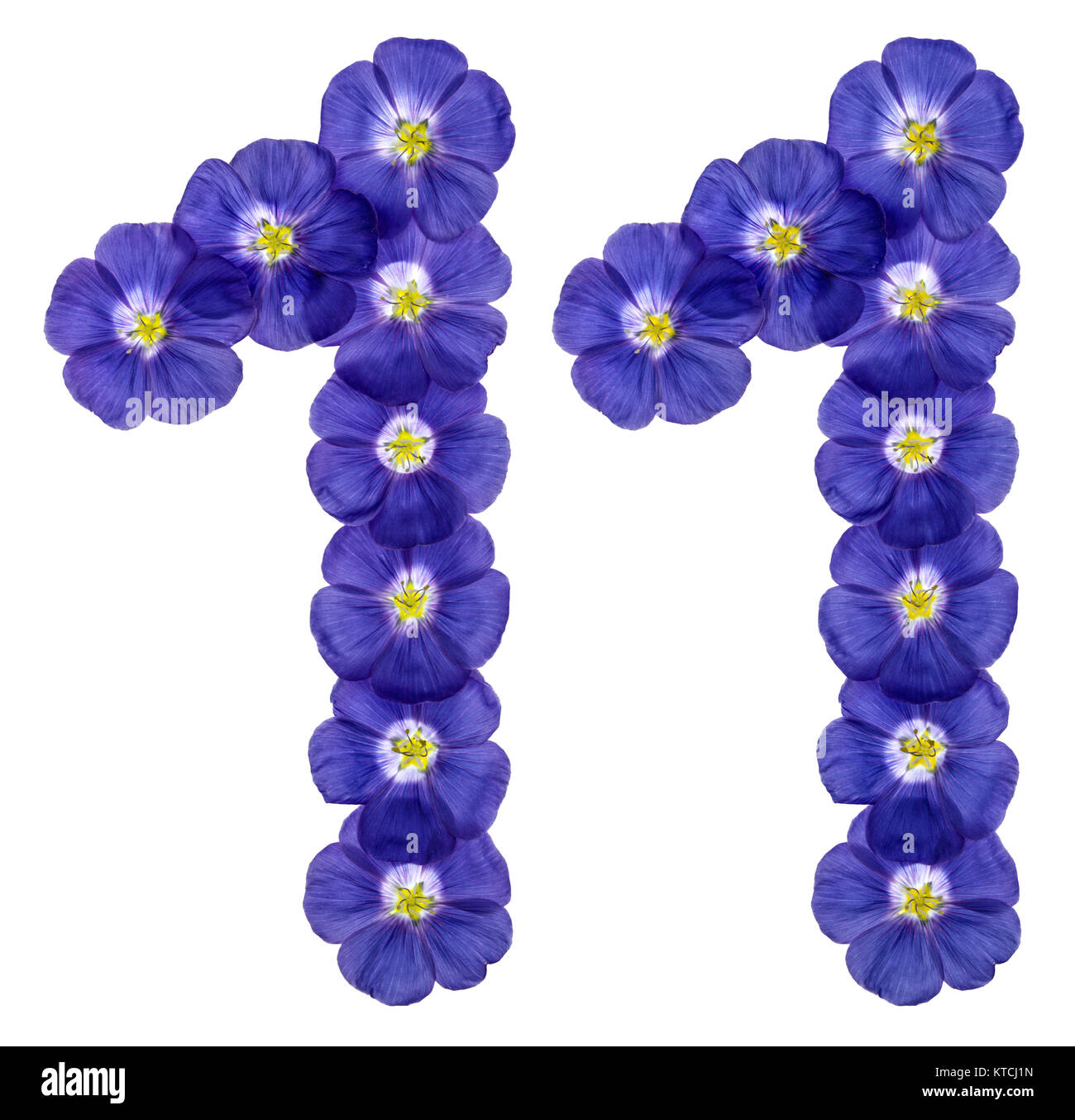 Numero arabo 11, undici, dai fiori blu di lino, isolato su sfondo bianco Foto Stock