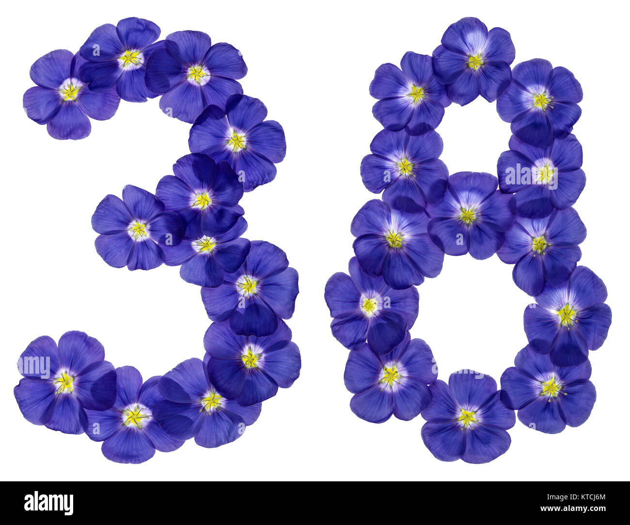 Numero arabo 38, trenta otto, dai fiori blu di lino, isolato su sfondo  bianco Foto stock - Alamy