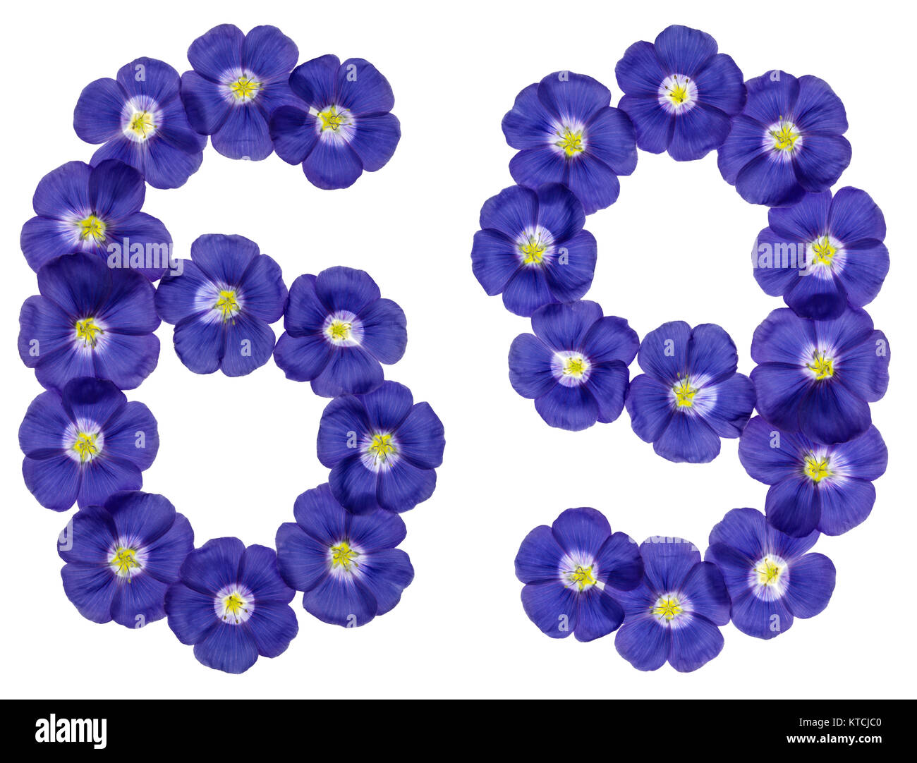Numero arabo 69, sessanta nove, dai fiori blu di lino, isolato su sfondo bianco Foto Stock