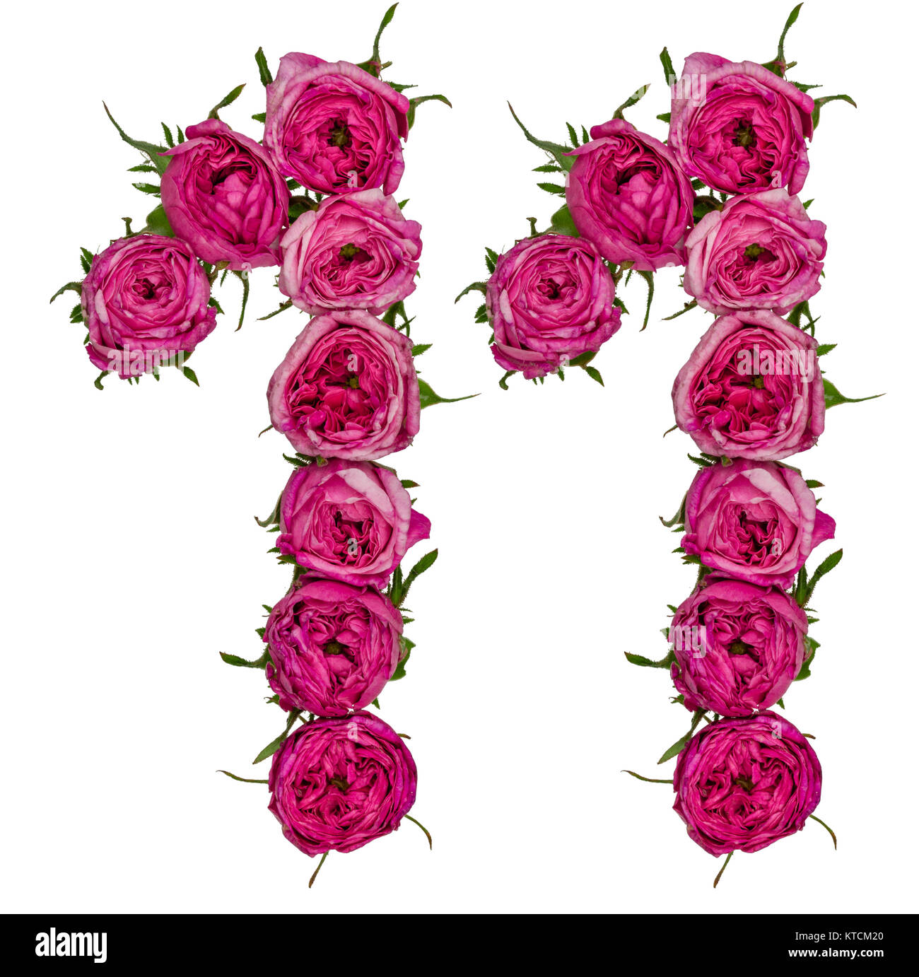 Numero arabo 11, undici, dal rosso dei fiori di rosa, isolato su sfondo bianco Foto Stock