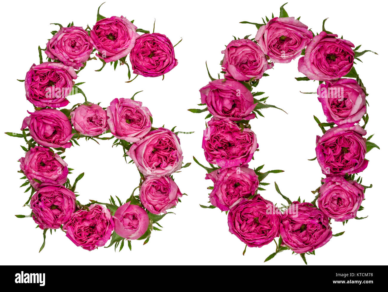 Numero arabo 60, sessanta, dal rosso dei fiori di rosa, isolato su sfondo  bianco Foto stock - Alamy