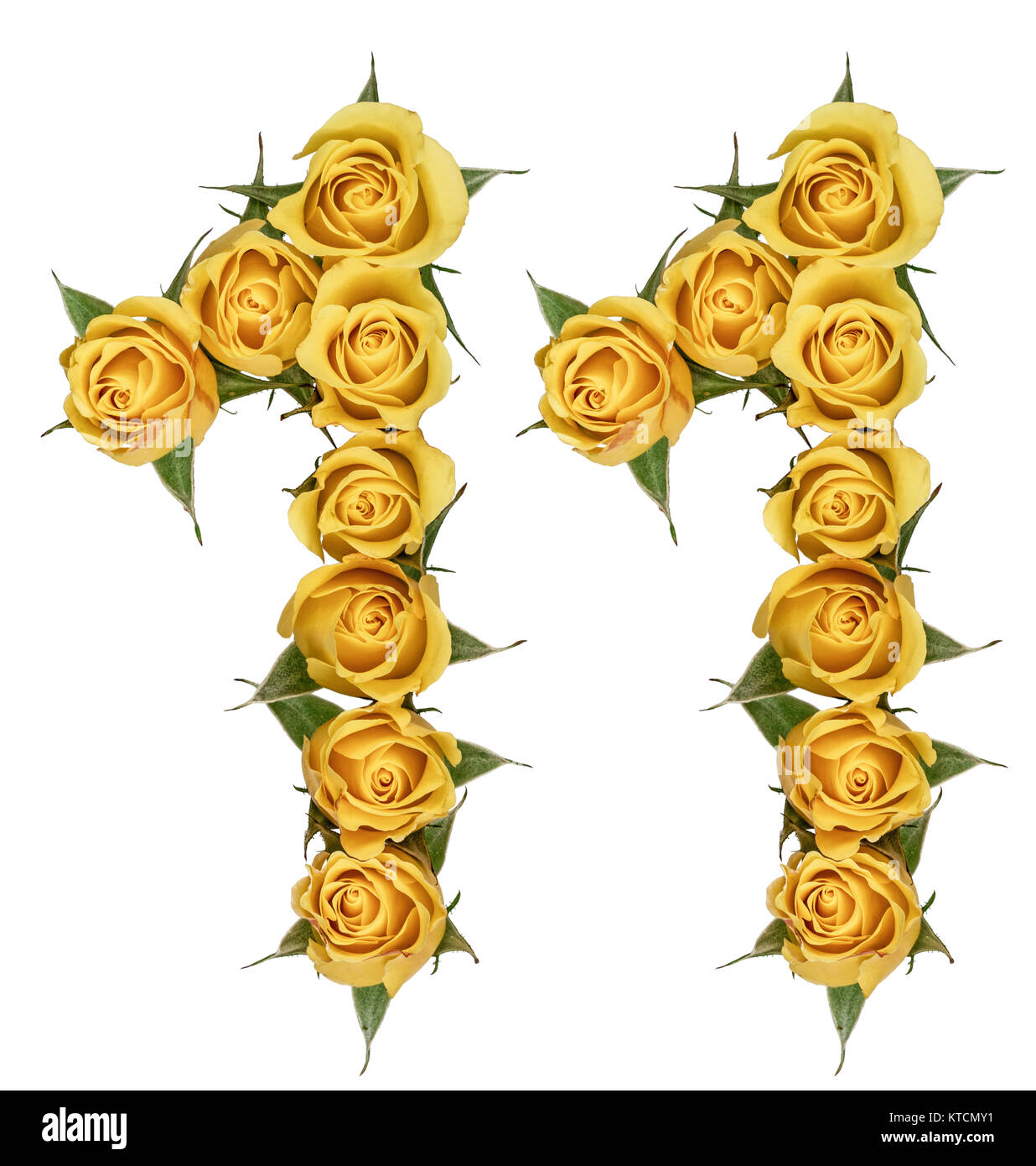 Numero arabo 11, undici, dal giallo dei fiori di rosa, isolati su sfondo bianco Foto Stock