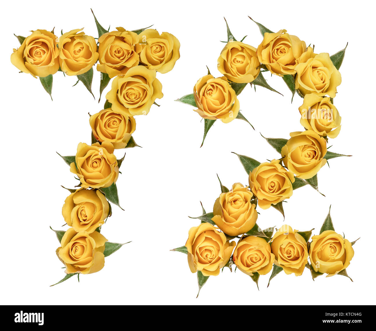 Numero arabo 72, settantadue, dal giallo dei fiori di rosa, isolati su sfondo bianco Foto Stock