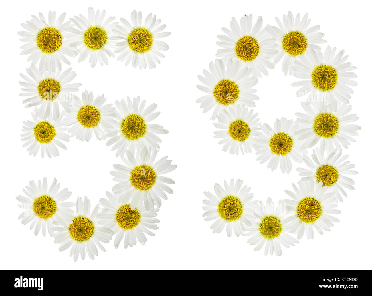 Numero arabo 59, cinquanta nove, dal bianco dei fiori di camomilla, isolati su sfondo bianco Foto Stock