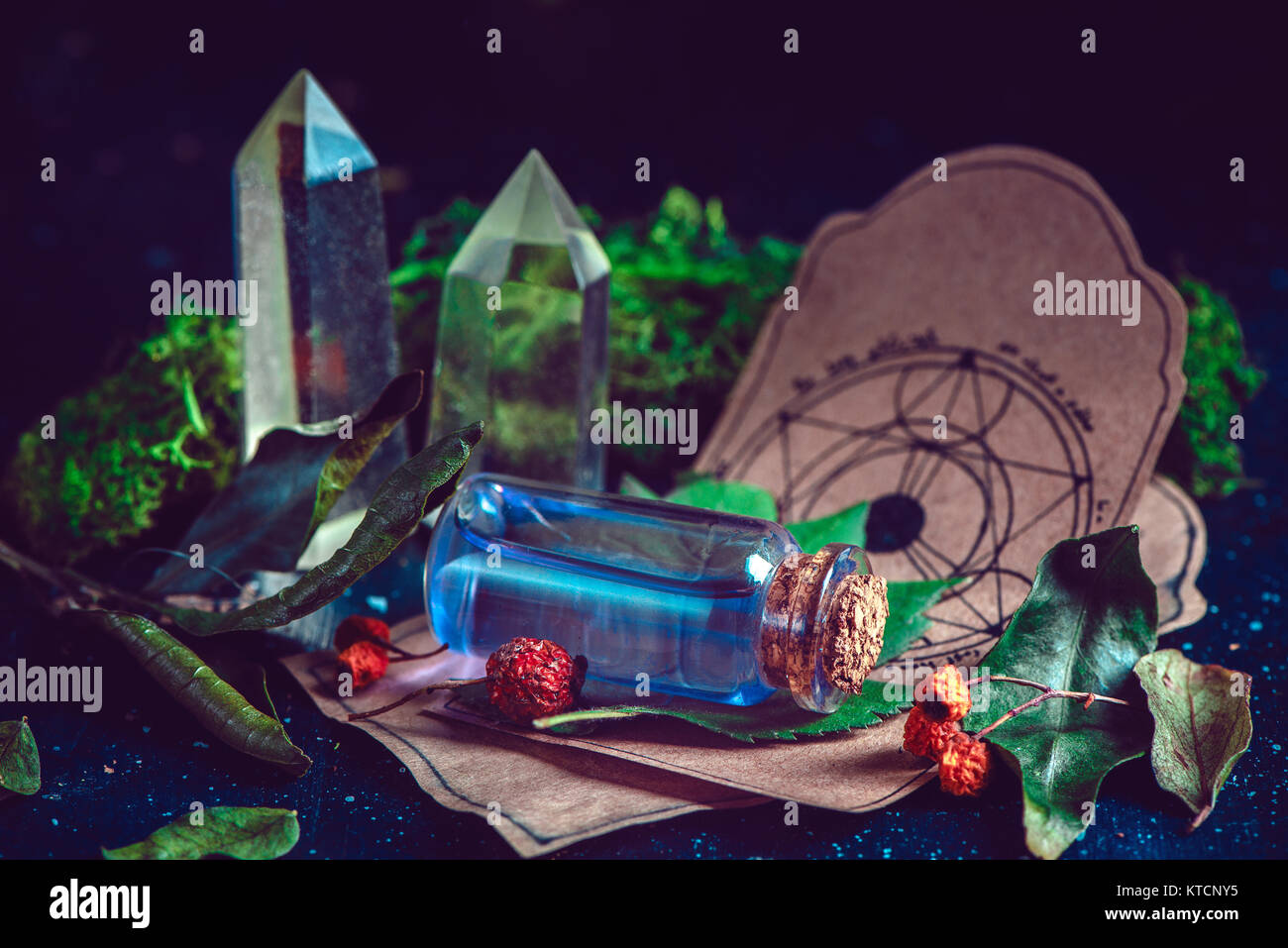 Bottiglia di pozione con ingredienti, erbe, muschi e cristalli in una magica scena. Moderno concetto di stregoneria con copia spazio. Dark still life fotografia. Foto Stock
